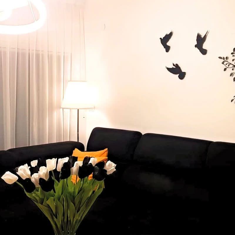 סט מתלה קיר “ציפורי חיים" ממתכת (5 צבעי מתכת לבחירה)