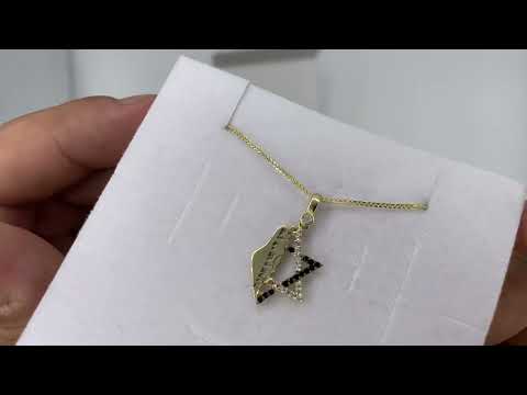 תליון "מפת ישראל" (2.1*1.4 ס"מ) מזהב צהוב 14 קראט עם מגן דוד