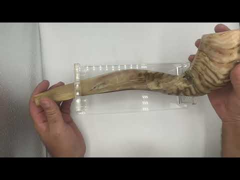 סטנד לשופר מפרספקס (26*11 ס"מ) עם פלקטה חיתוך לייזר עיטורי "ותקעתם בשופר" מוזהב