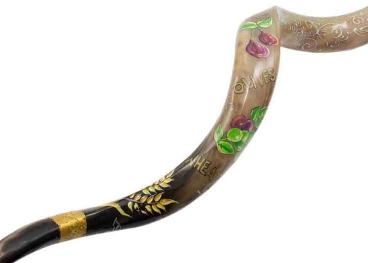 שופר קודו ענקי (101-111 ס"מ) עם ציור "שבעת המינים" בעבודת יד ע"י אמן שרית רומנו