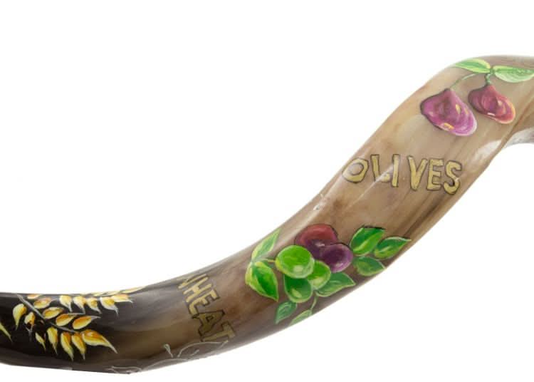 שופר קודו ענקי (101-111 ס"מ) עם ציור "שבעת המינים" בעבודת יד ע"י אמן שרית רומנו