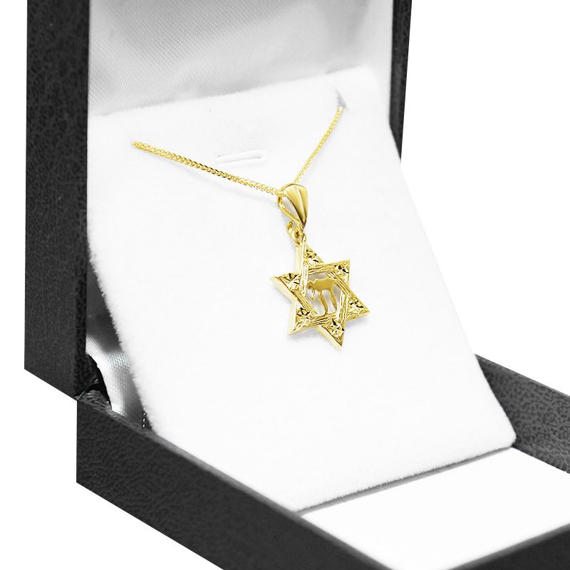 "Star of David" pendant with "Hai" (1.6 cm) in 14k yellow gold